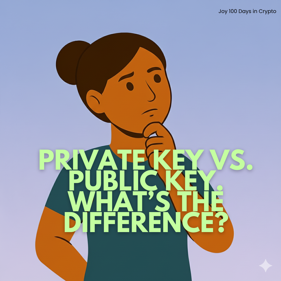 Day 11: Public Key vs Private Key. What’s the Difference?